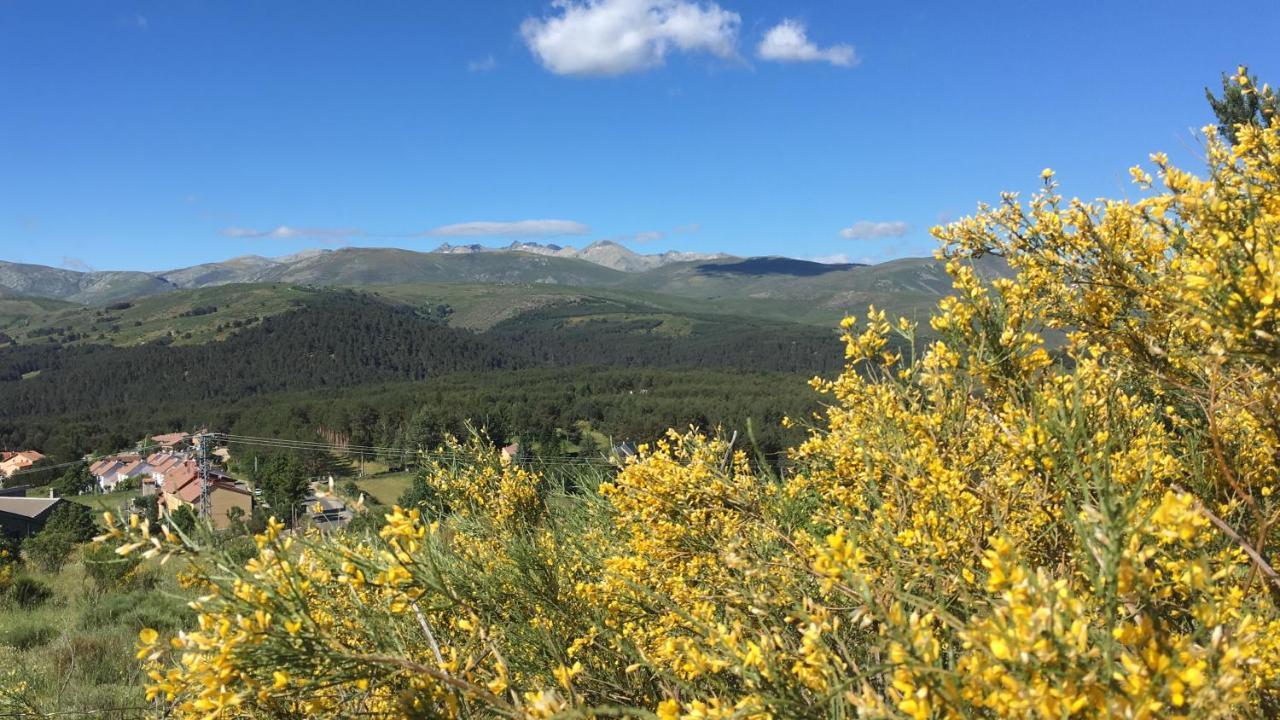 Cara Norte De Gredos Hoyos del Espino Bagian luar foto