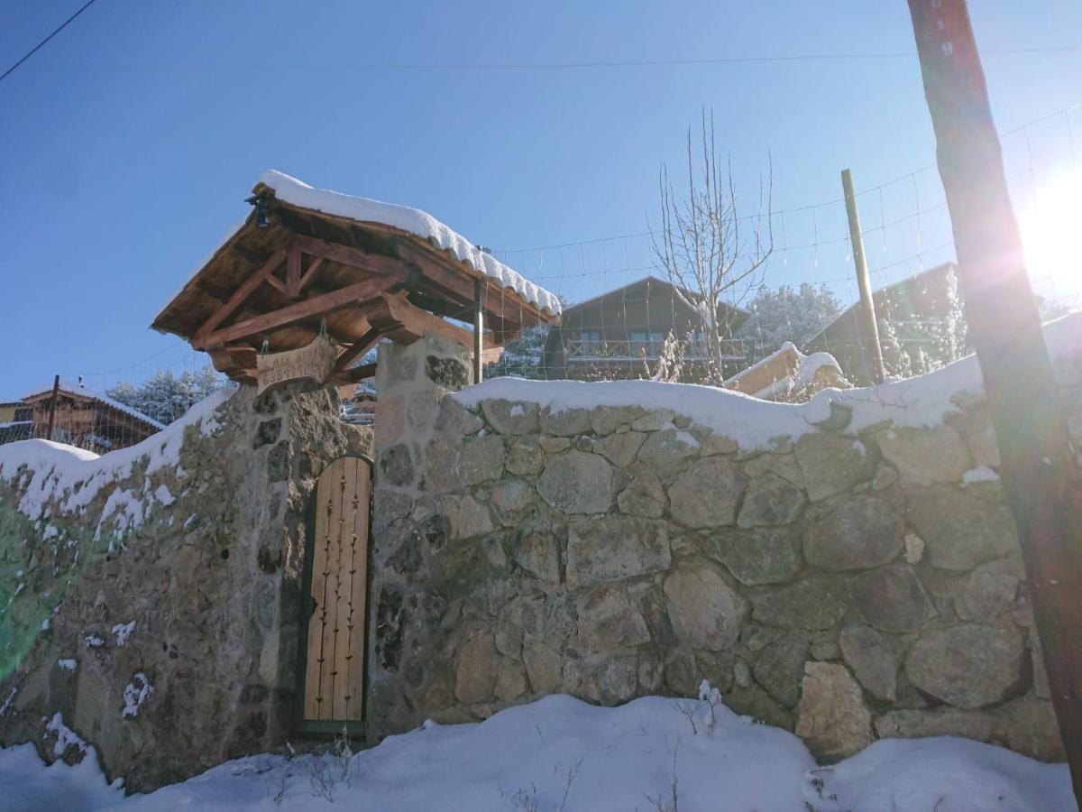 Cara Norte De Gredos Hoyos del Espino Bagian luar foto