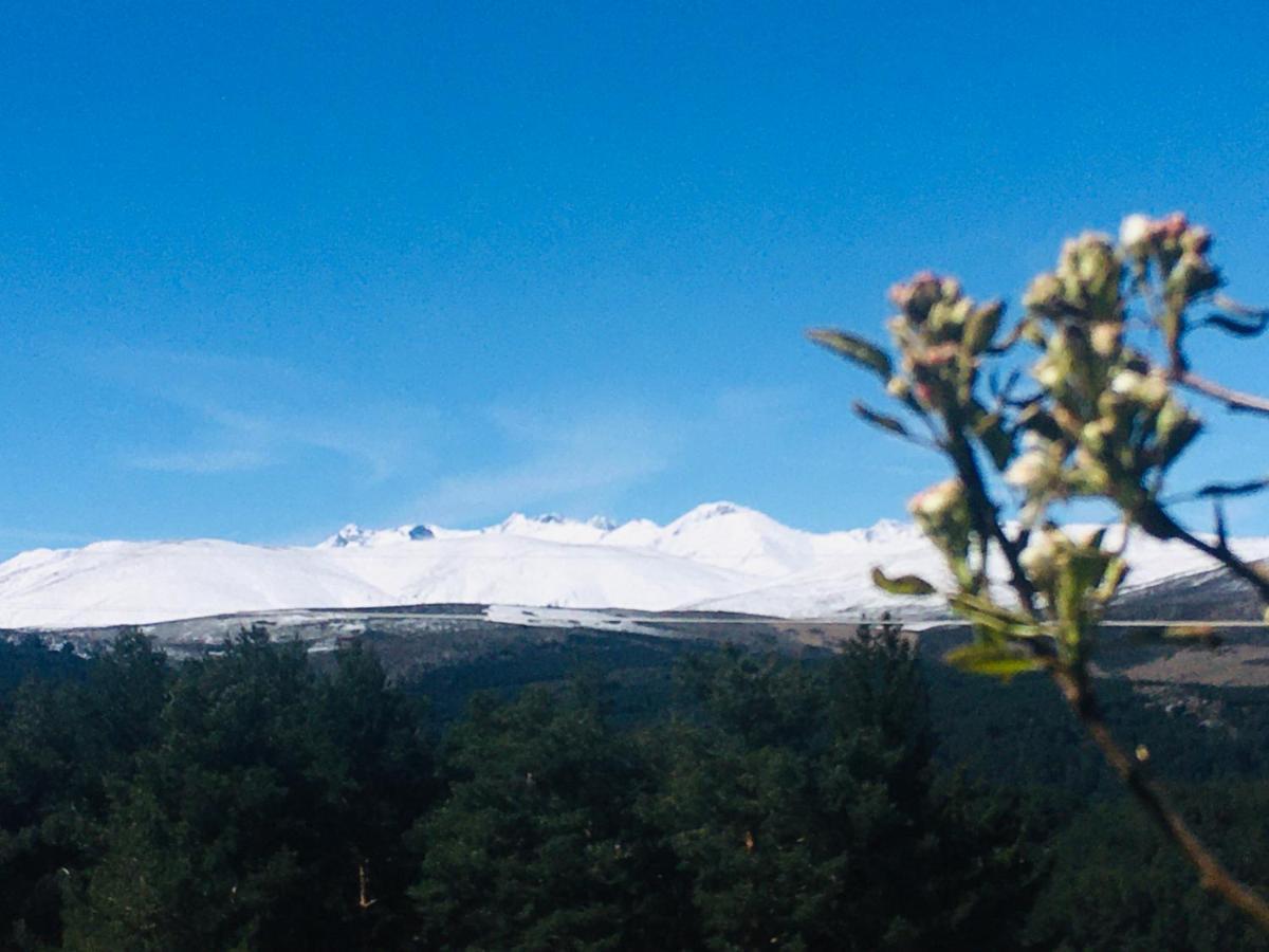 Cara Norte De Gredos Hoyos del Espino Bagian luar foto